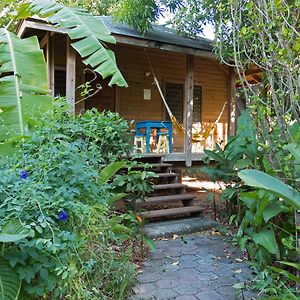 One-Bedroom Bungalow